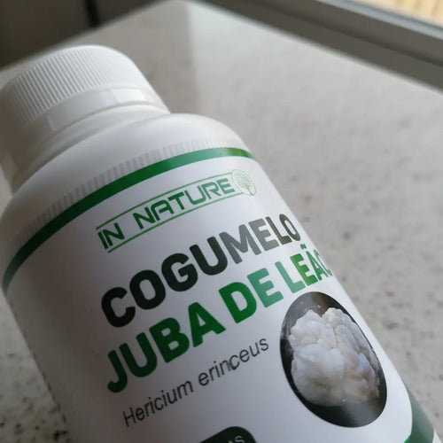 Hongo Melena De León 60 Cápsulas 500mg Neutro