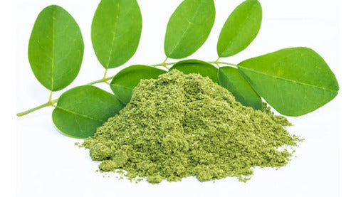 Moringa Oleifera Seiva Real 60 Cápsulas 500mg Natural Neutro