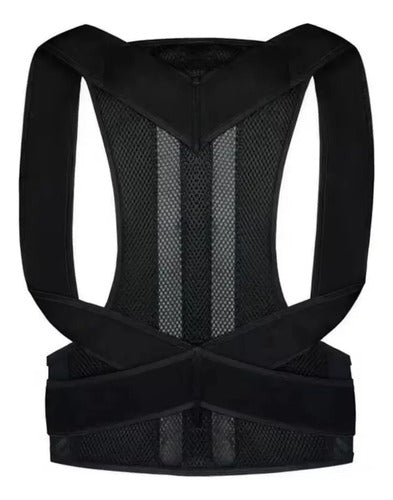Corrector Postura Faja Lumbar Ortopédica Trabajo Espalda L