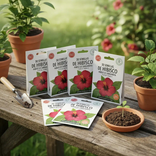 30 Semillas De Hibisco Hibiscus Sabdariffa - Flor De Jamaica