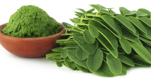 Moringa 120 Cápsulas Sabor Neutro