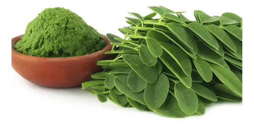 Pack 4 Moringa 500mg (240 Cáps) Envío Gratis!! Neutro
