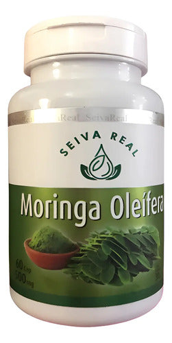 Moringa Oleifera Seiva Real 60 Cápsulas 500mg Natural Neutro