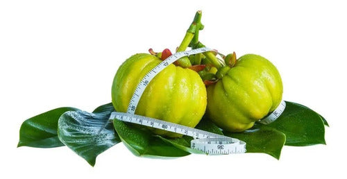Garcinia Cambogia Pastillas Adelgazante X 60 Cap - 2x1 Neutra