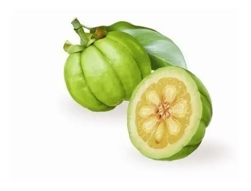 Garcinia Cambogia Pastillas Adelgazante X 60 Cap - 2x1 Neutra