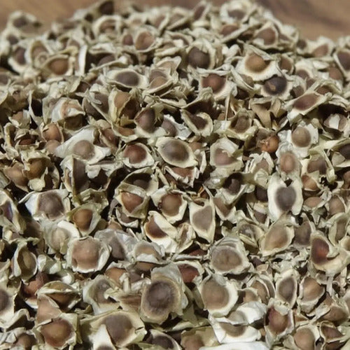 Semillas De Moringa Recien Cosechadas!!!