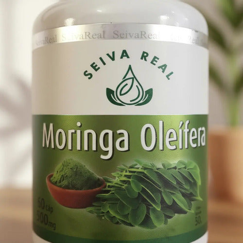 Moringa Oleifera Seiva Real 60 Cápsulas 500mg Natural Neutro